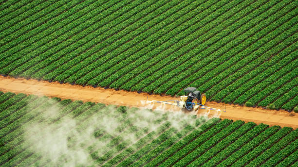 Best Termite Control Services  in Vancleave, MS