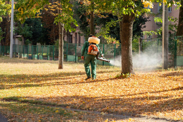Best Pest Prevention Services  in Vancleave, MS