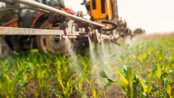 Best Pest Control Treatment  in Vancleave, MS